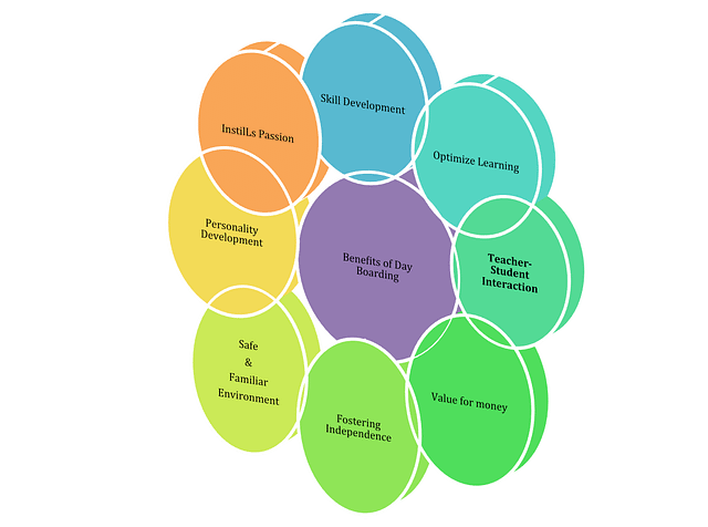 Curriculum